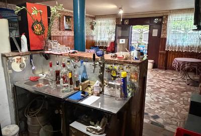 Închiriere spațiu comercial Ilioara Salajan - 13