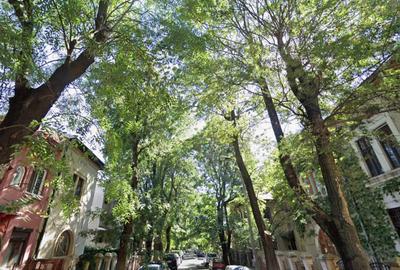 De vrei viață fericită, hai pe-o stradă liniștită! - 7