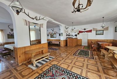 Vanzare amplasament industrial-servicii Tatarasti, Teleorman - 5