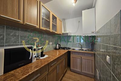 Apartament de închiriat la casă, 2 camere, aproape de Parcul Sub Arini – Sibiu - 6