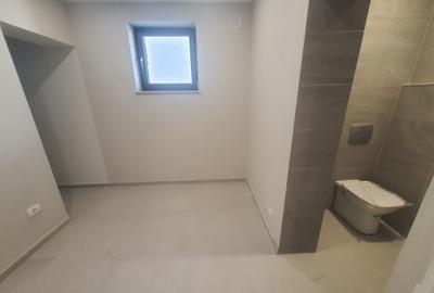 Domenii, casa D+P+1+M la prima închiriere - 17