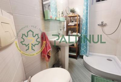 Apartament 2 camere cu balcon, renovat complet, Terezian - 11