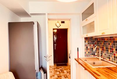 Apartament Piata Muncii, stradal, 5 minute de metrou, mobilat si utilat modern - 10