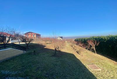 2 Case in regim P+M cu 9 camere, 3 băi, teren 1811mp, front 30m, Paleu - 15