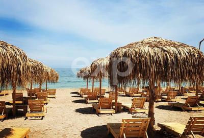 Parteneriat in participatiune pentru sector de plaja de 12.000 mp in Eforie Nord - 1