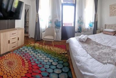 Apartament de inchiriat in vila et 2, Parc Carol, Unirii-Tineretului - 16