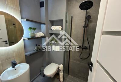 Apartament 2 Camere  Zona Doamna Stanca,Comision 0 - 3