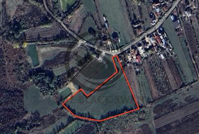 Teren Vanzare 11.000 MP Ghirdoveni | Comision 0% - 3