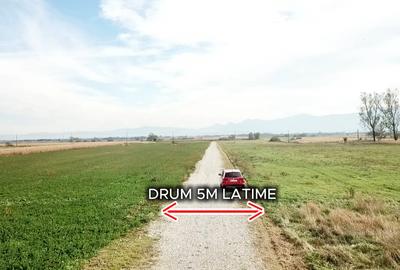Parcele 1100 mp Pentru Microferme, Grădini Bio & Creșterea Animalelor - 5