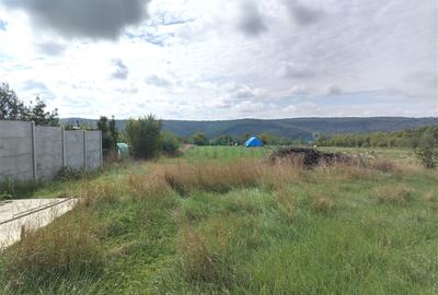 Teren intravilan de vanzare in Betfia, Bihor - 4