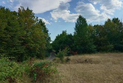 Teren 9.059 mp la liziera padurii, cu priveliste spre Apuseni - 9