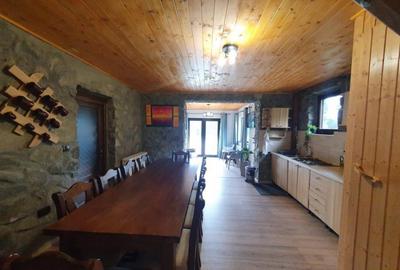 Cabana cu accesc la lac, 1400mp teren Colibita - 3