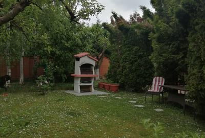 Casă individuală cu 7 camere în Iancu Nicolae