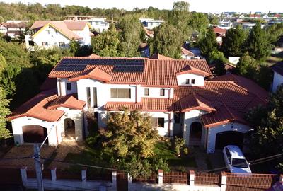 Chitila langa Lacul cu Nuferi si Padure - 1