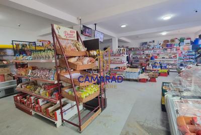 Spațiu comercial de vânzare în Tămădău Mare, jud. Călărași – Strada Principală - 3