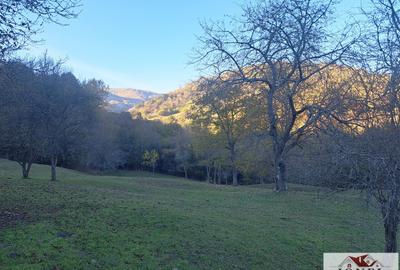 Vanzare casa cu 17.399 mp teren in Vintu de Jos - Valea Vintului - 4