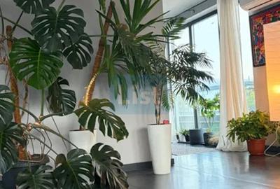 COMISION 0%! Penthouse 3 Cam 120 mp + terasă 45 mp, 2 parc, Borhanci - 10