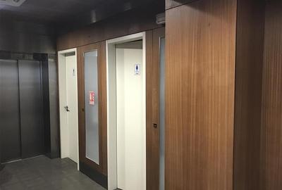 Inchirieri birouri langa pasajul Baneasa - 6