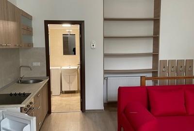 CHIRIE ap.1 camera, amenajat, mobilat, utilat la 10 minute de UMF - 8