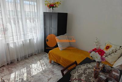 Apartament 4 camere Valea Ialomitei - 12