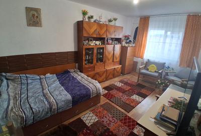 Apartament cu 2 camere decomandat, mobilat în Canta