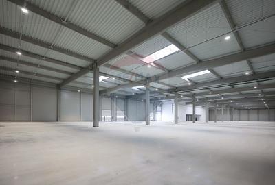 Hală de vânzare, Sc 7014mp, Zona Biharia - 11