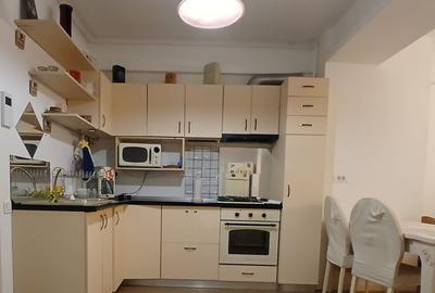 Apartament 2 camere Lux in Complex Central-Vasile Lascar - 5