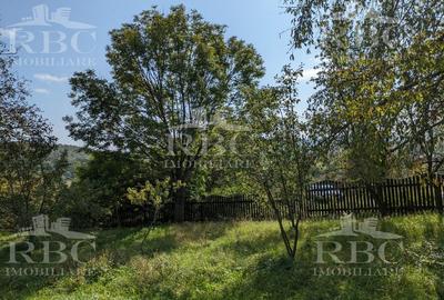 Teren 4873 mp intravilan cu Cabana in Moldovenesti (Pietroasa) jud Cluj - 5