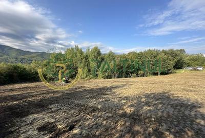 Teren intravilan de vanzare 960 mp Cisnadioara, Sibiu - 3