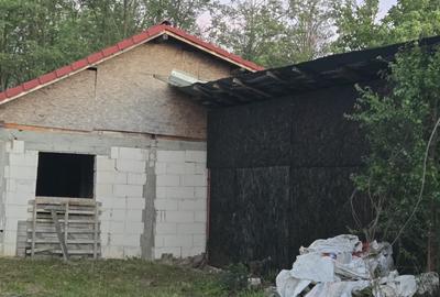 Casă cu 7.769 mp teren și pădure | Budieni | 53.000€ - 9