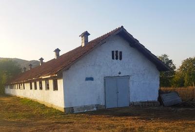 Vand teren  500 m p , 1000 mp  , 17500 mp intravilan , negociabil. - 6