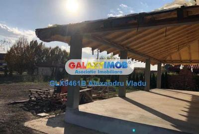 Vila  individuala cu garaj,Curtea Domneasca -Domnesti - 15