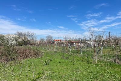 Proprietar vând teren intravilan în satul Runcu comuna  Dascalu - 1