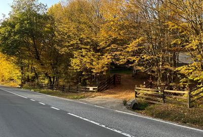 Vand cabana deosebita cu 4 cam. in mijlocul naturii,statiunea Bucin - 10