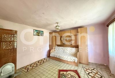 Casă la țară cu șură și grajd, în Vălenii Lăpușului – priveliște panoramică - 12