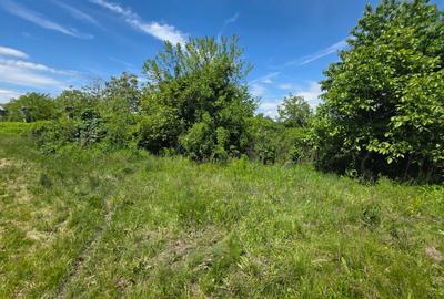 PROPRIETAR-Vand teren intravilan 1500 mp Maracineni (PITESTI) - 12