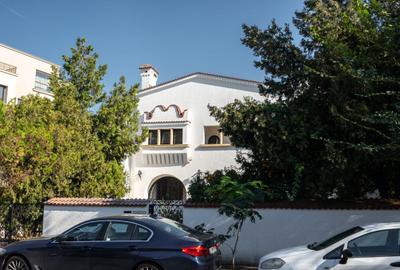 Capodopera Semnata Dorin Stefan - Poveste Interbelica - 43