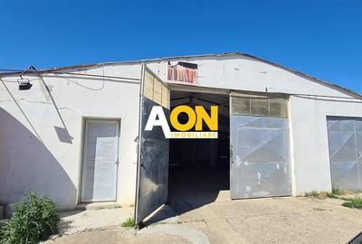 Hală Industrială de Vânzare, 1077mp, Oiejdea - 1