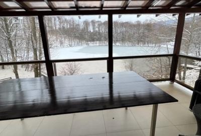 LAC MOGOSA, vila D+P+E+M cu 3ari teren! - 23