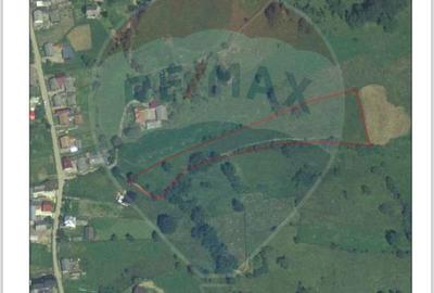 Teren 6,865mp Voroneț / Gura Humorului / Bucovina - 5