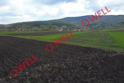 Teren intravilan de vânzare în Bicfalău! - 6