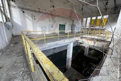 Spațiu industrial vinificatie Dobrinesti - 9