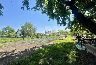 Casa veche stil nemtesc | Teren 23,5 ari | Radauti - 7