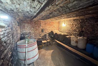 De vânzare 2 Case de vinificație cu Teren 4108 mp - Grădina Viilor - Carei - 6