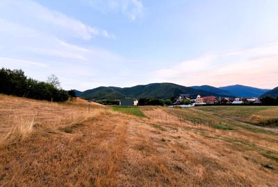 Teren de vanzare 1.257 mp Gura Râului-Zona Mărâjdiei -Investiție! - 6