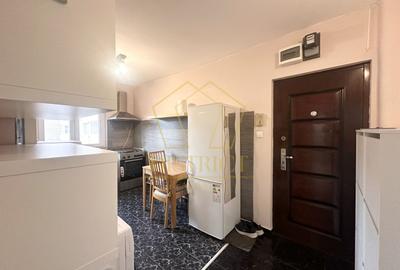 Apartament deosebit cu 2 camere | Girocului - 13
