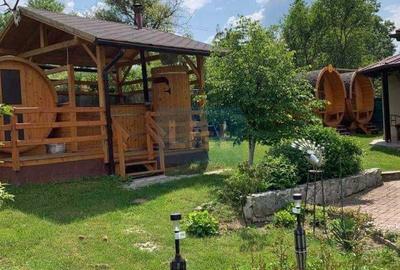House in Brebi, Sălaj - 6