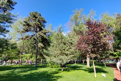 Tineretului parc| 2 Camere | Pet friendly |Disponibil imediat | Parcare - 7