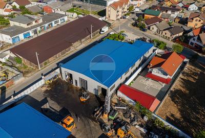Vânzare Complex industrial  – 3.037 mp teren, 4 hale - 1400 mp Beiuș - 6