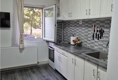 Apartament cu 2 camere semidecomandat, mobilat în Dâmbovița